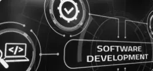 Web software development