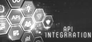 API integration services
